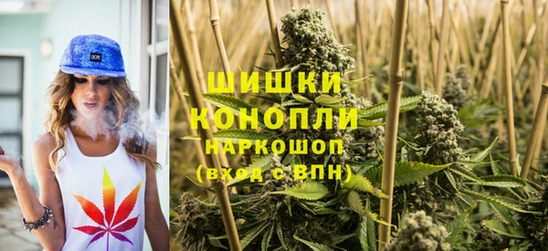 индика Каменск-Шахтинский