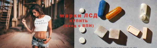 гидра Инсар