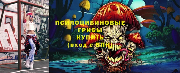 прущие крисы Каменка