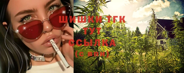 прущая мука Инта