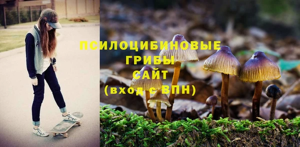 индика Каменск-Шахтинский