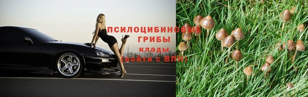 индика Каменск-Шахтинский